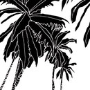 WALL & DECÒ Hula Coconut Wandbeläge / Tapeten