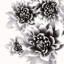 WALL & DECÒ Bloom Papeles pintados