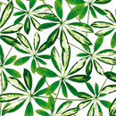 WALL & DECÒ Jungle Wallcoverings / Wallpaper