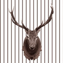 WALL & DECÒ Nordic Taste Wandbeläge / Tapeten