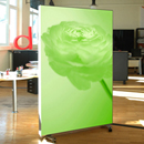 raum AKUSTIKS ALUscreen Rollwand Acustica Pareti divisorie / Sistemi divisori