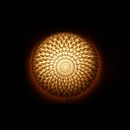 .MGX by Materialise Krizant.MGX – Wall Sconce Wandleuchten