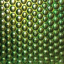 Conglomerate Arabian Nights | Caviar - Grace Green