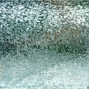 Conglomerate Blacksmith | Silver Fish Mirror Paneles murales Vidrio