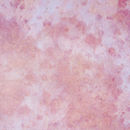 Conglomerate Cosmos | Autumn Dawn Pink Glass Wall panels