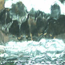 Conglomerate Blacksmith | Water Mirror Paneles murales Vidrio