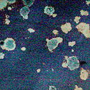 Conglomerate Cosmos | Moon Shadow Glass Wall panels