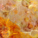 Fantasy | Barley Conglomerate