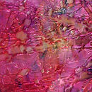 Fantasy | Fuchsia Conglomerate