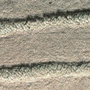 Toulemonde Bochart Vague Mastic Carpets / Rugs