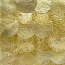 Goldsmith | Gold Shell Conglomerate