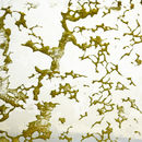 Goldsmith | Metallic Gold Conglomerate