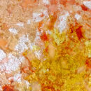 Goldsmith | Rosey Gold Leaf Conglomerate