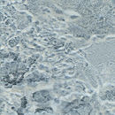Conglomerate Metal Hybrid | Nickel Silver Pannelli per pareti Vetro