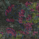 Toulemonde Bochart Filaire Multi Moquette / Tappeti