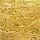 Glasswood | Cork Skin Conglomerate