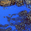 Conglomerate Tinct | Blue Mica Glass Wall panels
