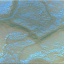 Conglomerate Dichroic | Opal Glass Wall panels