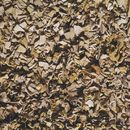 Toulemonde Bochart Fez Beige Carpets / Rugs