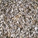Toulemonde Bochart Fez Grège Carpets / Rugs
