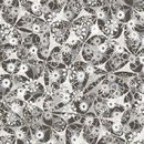 Berlintapete No. 5236 | Millefleur Wallcoverings / Wallpaper