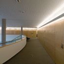 planlicht meridia Wall light Linear lights Wall-mounted lights