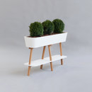 AMOS DESIGN Flowerlover Accesorios de hogar / oficina