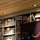 Lumini Noframe ceiling lights Recessed ceiling lights Spotlights