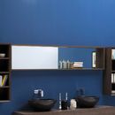 Ceramica Flaminia Compono System mirror Bathroom furniture Mirrors