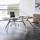 RENZ Star office table Scrivanie / Postazione di lavoro Ufficio presidenziale