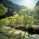 Berlintapete No. 6695 | Zion Canyon Papeles pintados