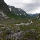 No. 6063 | Ravine Norway Berlintapete