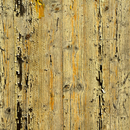 Nr. 7795 | Holzwand Berlintapete