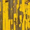 Nr. 7793 | Old Paint Berlintapete
