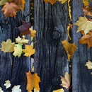 Berlintapete No. 5902 | Autumn forest Papeles pintados