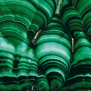 Nr. 4059 | B1 Malachite grün Berlintapete