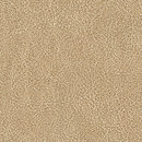 Conquistador VP 690 05 Elitis