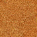 Conquistador VP 690 10 Elitis