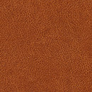 Conquistador VP 690 11 Elitis