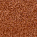 Conquistador VP 690 12 Elitis