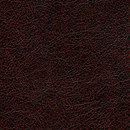 Conquistador VP 690 13 Elitis