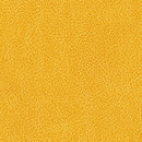 Conquistador VP 690 14 Elitis