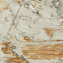 VIVES Cerámica Exedra 27 Azulejos de pared Baldosas de suelo Cerámica Cerámica/arcilla: azulejos Cerámica/arcilla: baldosas Cerámica/arcilla: placas Placas de suelo Suelos de cerámica
