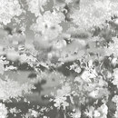 Extratapete Van Grey [Collection 7] Papiers peint