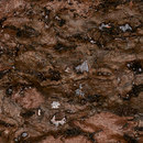 Nature précieuse RM 631 90 Elitis