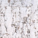 Elitis Nature précieuse RM 631 94 Corcho: revestimientos murales Papeles pintados