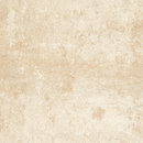 Terra Maestricht® Fliese Mosa