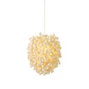 ANGO Cascadence Ceiling Pendant lights