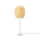 ANGO Cascadence Table