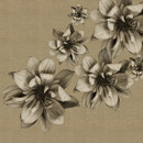 WALL & DECÒ Flowers poetry Wallcoverings / Wallpaper